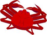 蟹イラスト